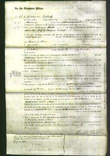 Court of Common Pleas - Catherine Gittins and Ann Forrest-Original Ancestry