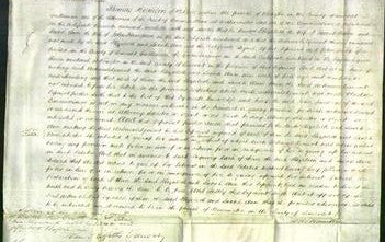 Court of Common Pleas - Elizabeth Evans and Sarah Ann Thompson-Original Ancestry