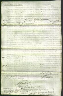 Court of Common Pleas - Kezia Sarah Lewin-Original Ancestry