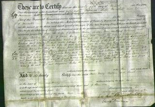 Deed by Married Women - Ann Chinn, Mary Wall, Caroline Jenkins and Sarah Stokes-Original Ancestry