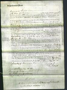 Court of Common Pleas - Rachel Phillips Hopkins-Original Ancestry