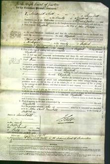 Court of Common Pleas - Elizabeth Phillips-Original Ancestry