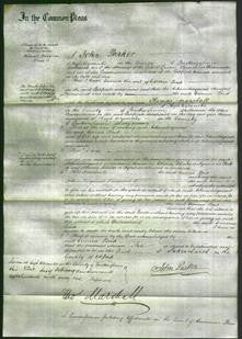 Court of Common Pleas - Emma Bird-Original Ancestry