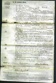 Court of Common Pleas - Jane Clough, Dorothy Bond, Mary Reay and Margaret Hutchinson-Original Ancestry