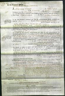 Court of Common Pleas - Susannah Bateson-Original Ancestry