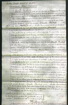 Court of Common Pleas - Esther Jones-Original Ancestry