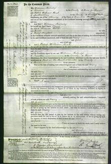 Court of Common Pleas - Mary Webber and Grace Haydon-Original Ancestry