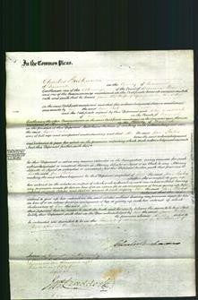 Court of Common Pleas - Jane Baker-Original Ancestry