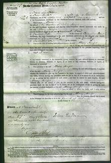 Court of Common Pleas - Mary Amps-Original Ancestry