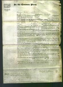 Court of Common Pleas - Sarah Watts-Original Ancestry