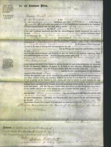 Court of Common Pleas - Mary Brown-Original Ancestry