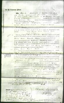 Court of Common Pleas - Mary Anne Everett Green-Original Ancestry