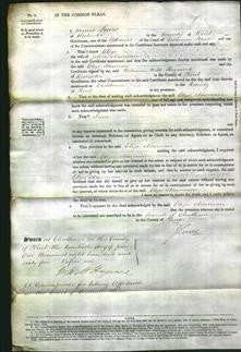 Court of Common Pleas - Eliza Newman-Original Ancestry