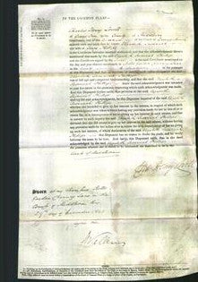 Court of Common Pleas - Elizabeth Susannah Phillips-Original Ancestry