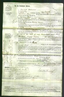 Court of Common Pleas - Anne Morgan-Original Ancestry