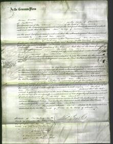 Court of Common Pleas - Ann Chandler-Original Ancestry