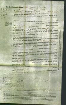 Court of Common Pleas - Ann Lewis