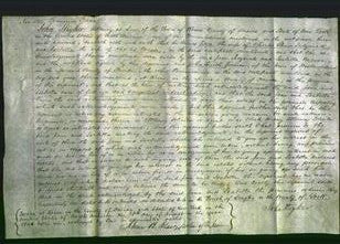 Court of Common Pleas - Jane Sedgwick and Isabella Masse-Original Ancestry