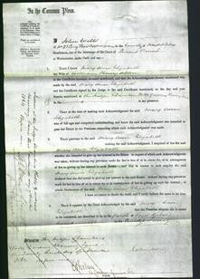 Court of Common Pleas - Mary Ann Elizabeth Allen-Original Ancestry