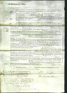 Court of Common Pleas - Betty Jackson-Original Ancestry