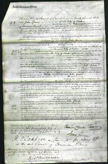 Court of Common Pleas - Mary Tanner-Original Ancestry