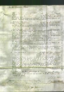 Court of Common Pleas - Eliza Anne Newmarch-Original Ancestry