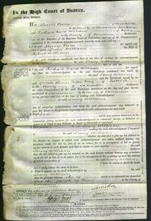 Court of Common Pleas - Lowry Williams-Original Ancestry