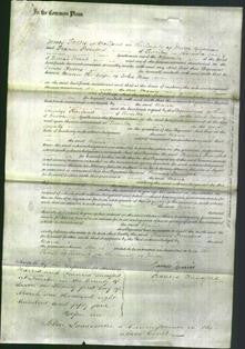 Court of Common Pleas - Maria May-Original Ancestry