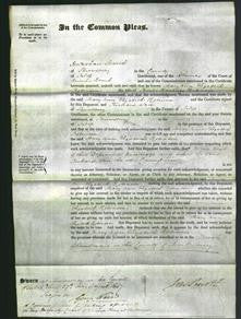 Court of Common Pleas - Mary Ann Elizabeth Robinson-Original Ancestry