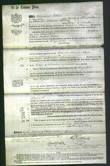 Court of Common Pleas - Elizabeth Peters-Original Ancestry