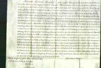 Court of Common Pleas - Martha Power-Original Ancestry