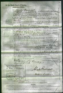 Court of Common Pleas - Annie Hartley-Original Ancestry