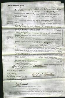 Court of Common Pleas - Ann Morgan-Original Ancestry