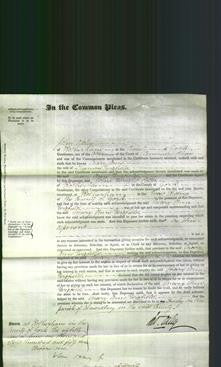 Court of Common Pleas - Mary Ann Wigfield-Original Ancestry