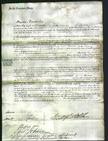 Court of Common Pleas - Elizabeth Maltby-Original Ancestry