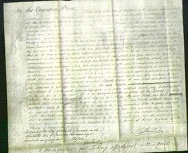 Court of Common Pleas - Sarah Hewit and Jane Hodgson-Original Ancestry