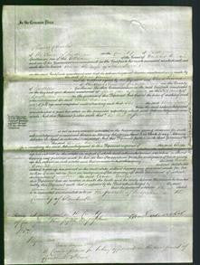 Court of Common Pleas - Anne Davies-Original Ancestry