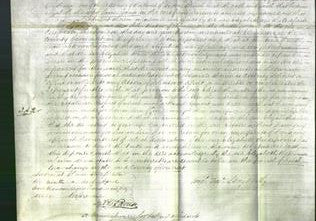 Court of Common Pleas - Elizabeth Gange-Original Ancestry