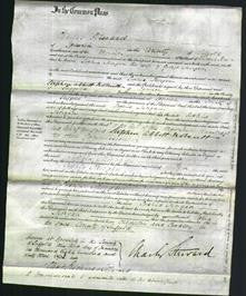 Court of Common Pleas - Sophia Morgan-Original Ancestry