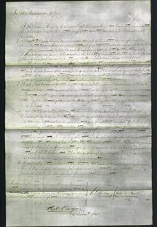 Court of Common Pleas - Sarah Pinnington-Original Ancestry