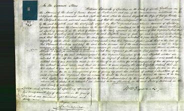 Court of Common Pleas - Elizabeth Woods-Original Ancestry