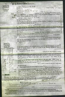 Court of common Pleas - Helen Salmon-Original Ancestry