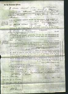 Court of Common Pleas - Charlotte Mathew-Original Ancestry