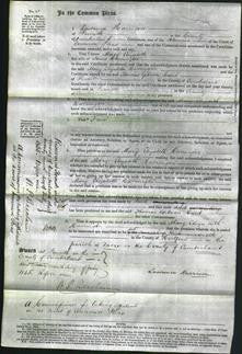 Court of Common Pleas - Mary Elizabeth Harrington-Original Ancestry