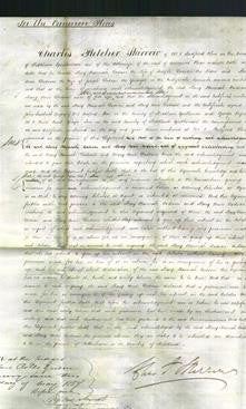 Court of Common Pleas - Mary Hannah Dodson and Mary Ann Dodson-Original Ancestry
