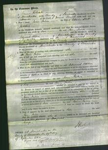 Court of Common Pleas - Joan Julia Fletcher-Original Ancestry