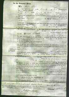 Court of Common Pleas - Elizabeth Hodgson-Original Ancestry