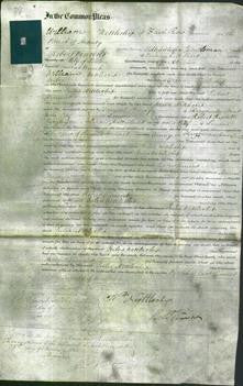 Court of Common Pleas - Julia Nettleship-Original Ancestry