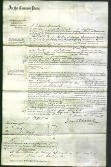 Court of Common Pleas - Amelia Kynnersley, Sophia Hilden and Elizabeth Harris-Original Ancestry