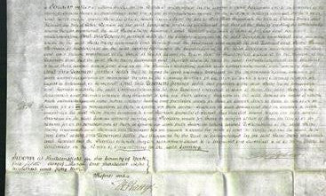 Court of Common Pleas - Betty Shaw, Mary Rank, Susannah Mellor and Harriet Pearson-Original Ancestry